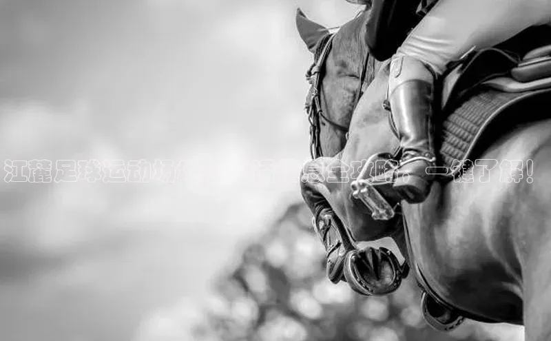 龙8-long8地址视觉中国