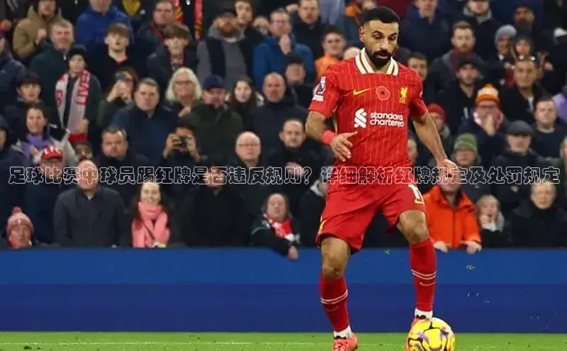 long8唯一官方网站登录头号玩家网易