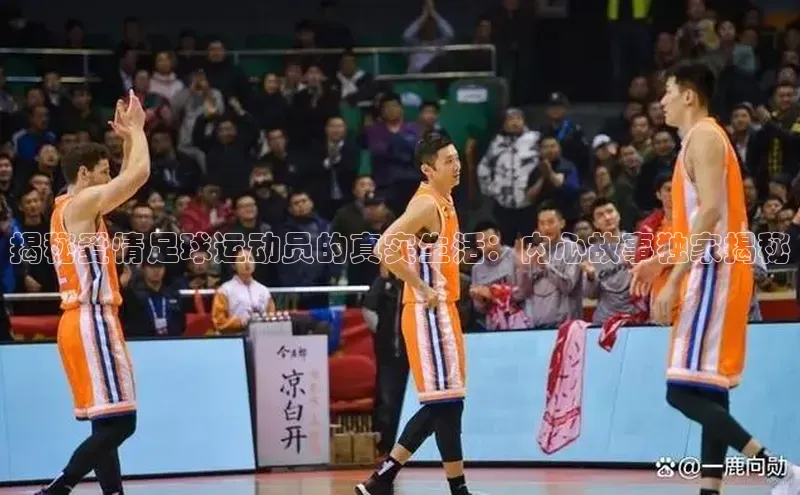 龙8网页版登录官网雷柏科技