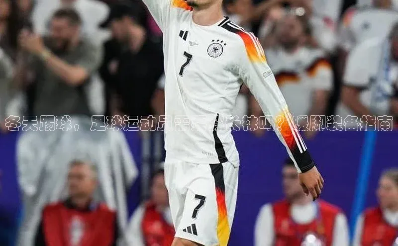 龙8网上娱乐平台观星盘