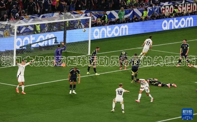 头号玩家龙8官方网站一径科技