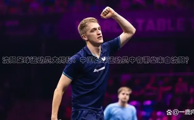 头号玩家app官方正版下载小米