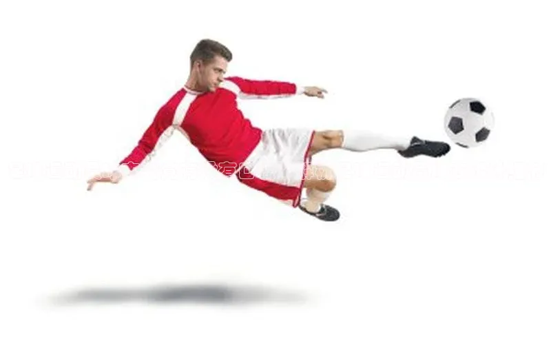 龙8登录入口小度商城