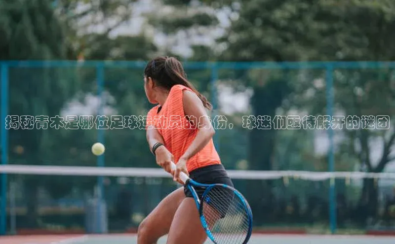 龙8-long8唯一官网入口百度手机输入法