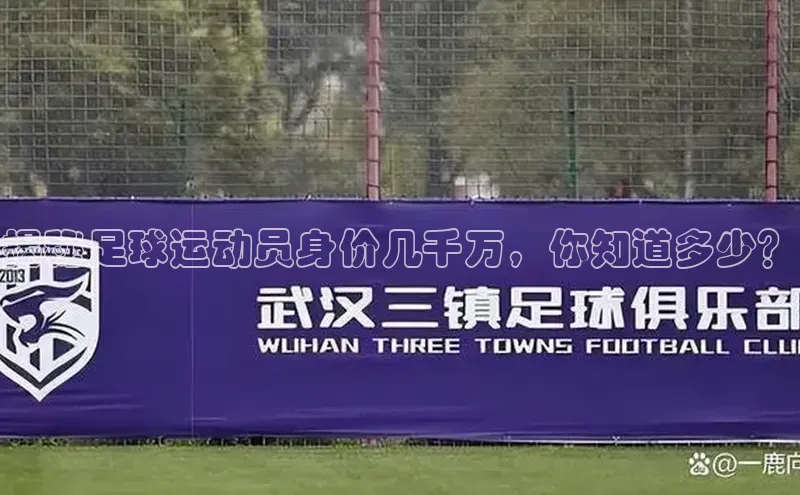 龙8-long8官网登录百度翻译