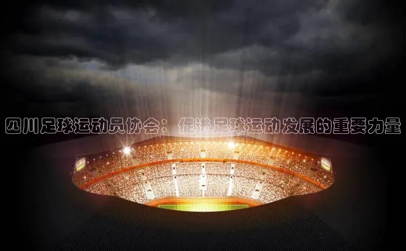 龙8官网手机登录入口颐驰 06