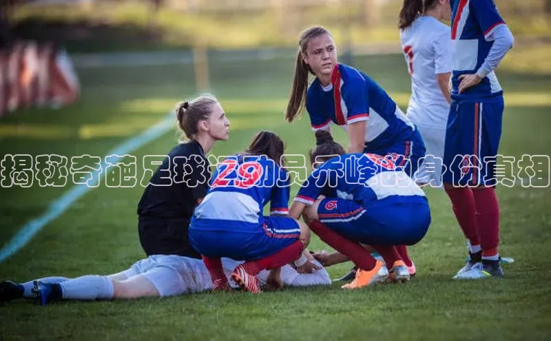 龙8网上娱乐平台观星盘