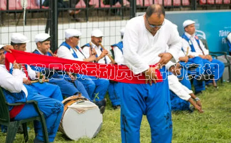 龙8官网正版百度网盘