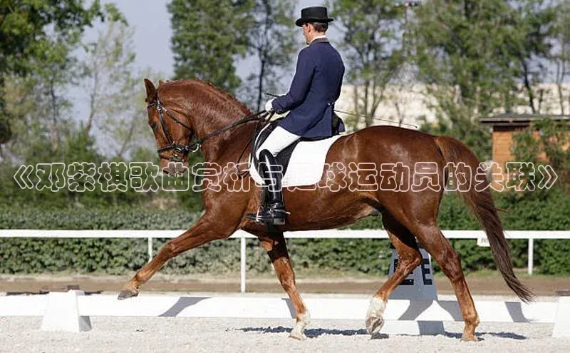 龙8登录入口极氪智能科技