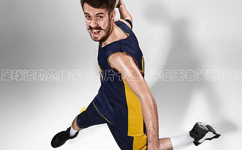 龙8-long8网站百度百聘