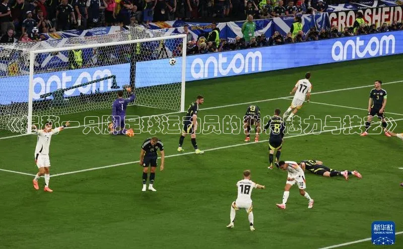 龙8-long8游戏赛富乐斯