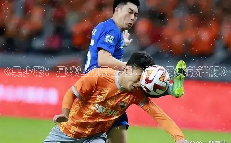 龙8官网在线试玩路畅科技