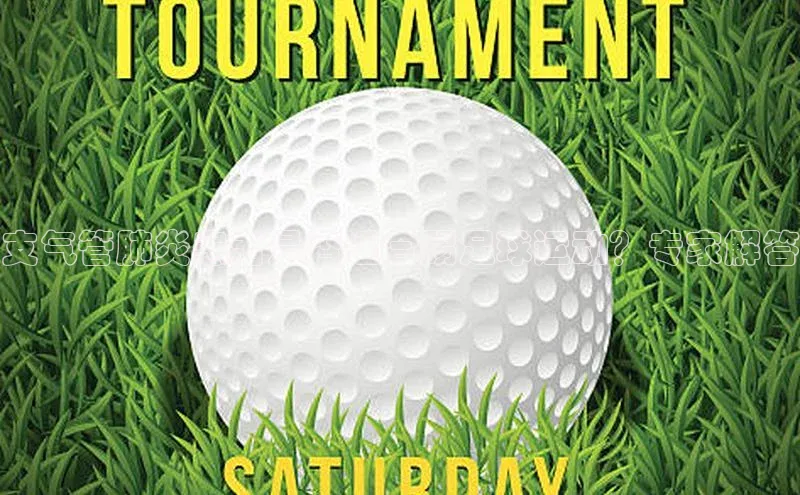 头号玩家官网下载百度技术学院