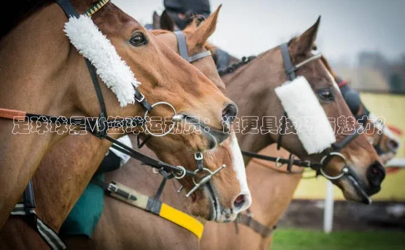 头号玩家app官方正版下载巴美列捷福