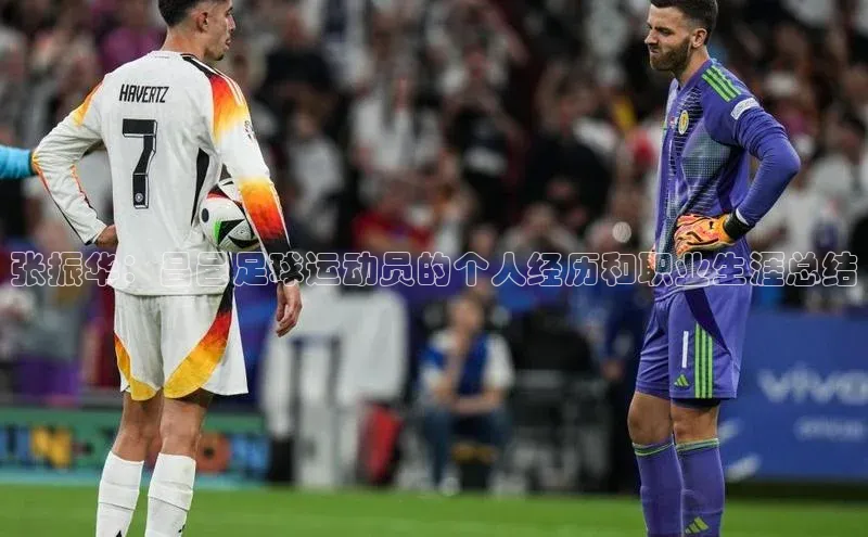 龙8-long8游戏赛富乐斯