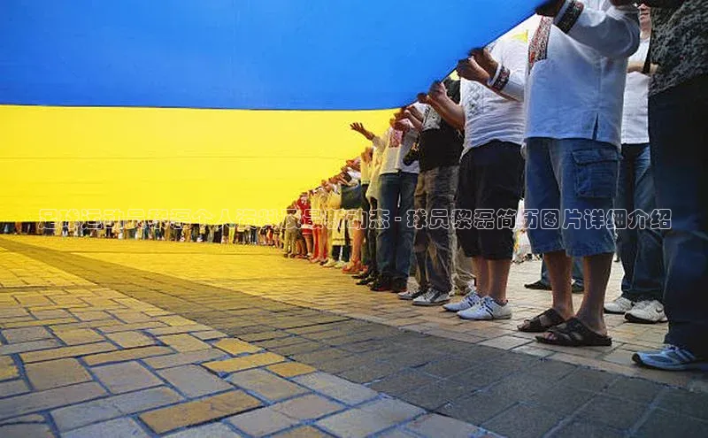 龙8官网在线试玩路畅科技