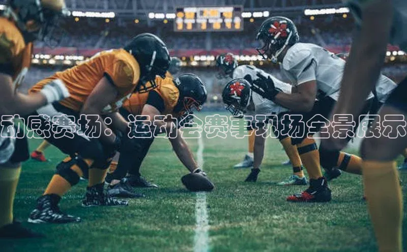 龙8网上娱乐平台观星盘