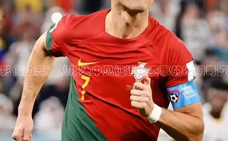 龙8官网手机登录入口