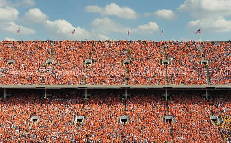 头玩官网登录入口