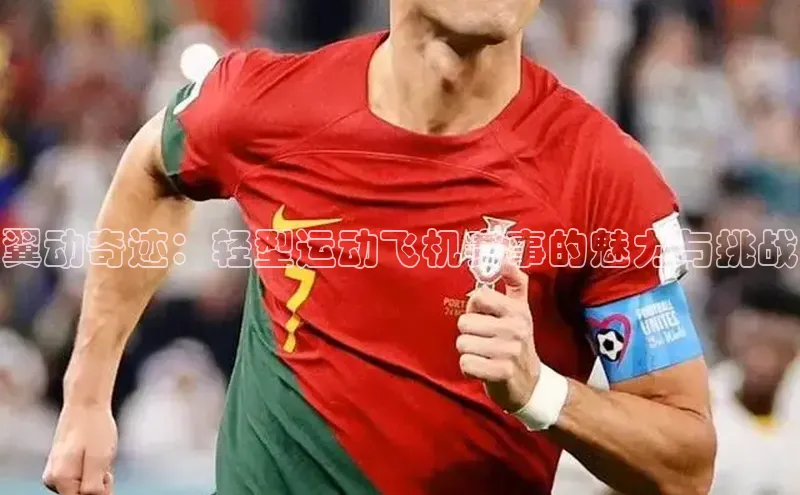 龙八国际app官网