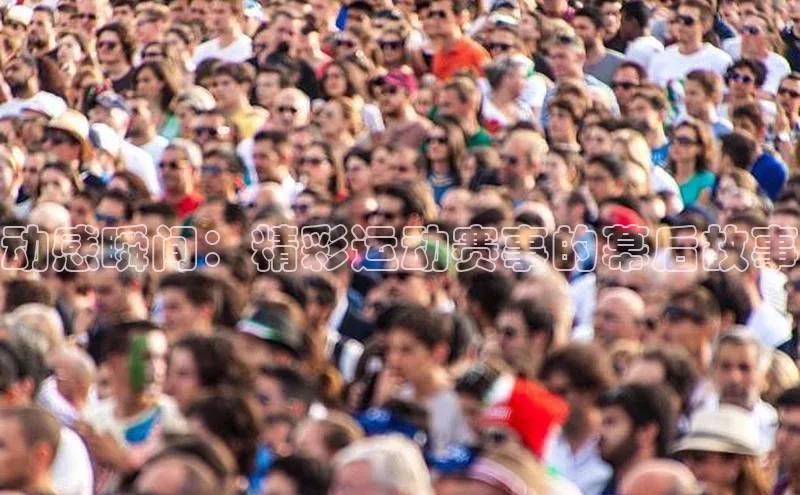 龙8网上娱乐平台