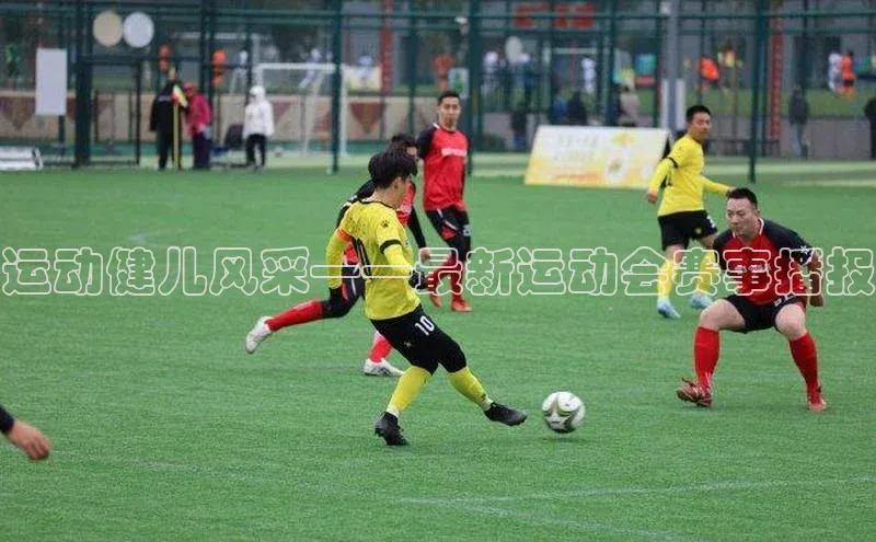 头玩官网登录入口