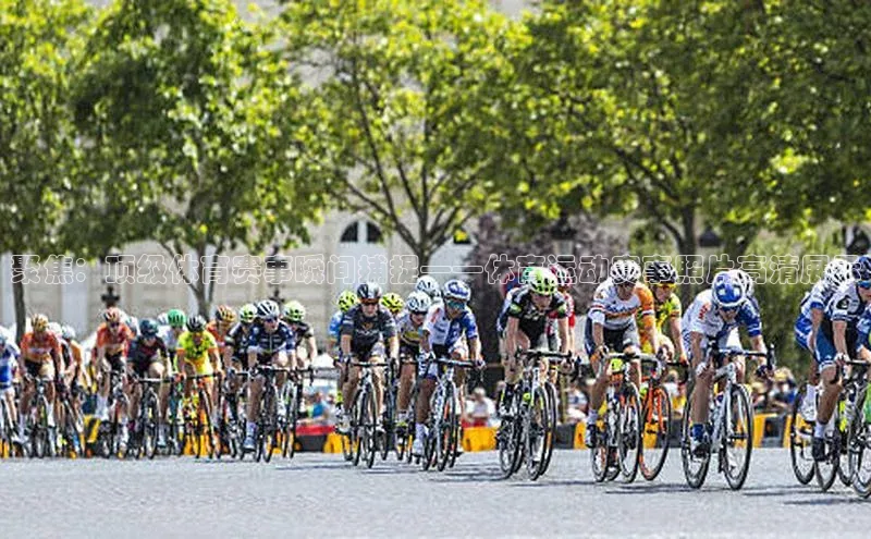 龙八国际唯一官方网站