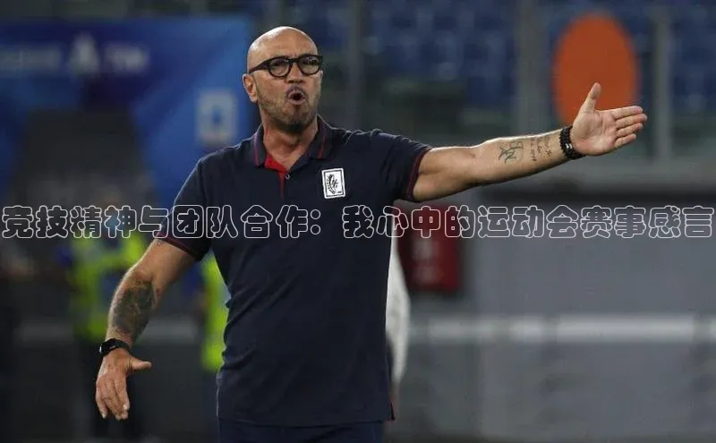 头玩官网登录入口