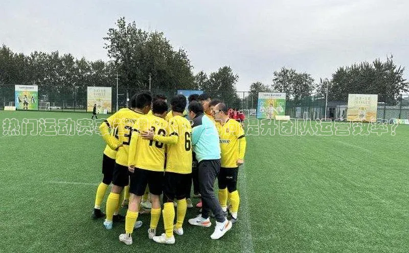 龙八国际唯一官网