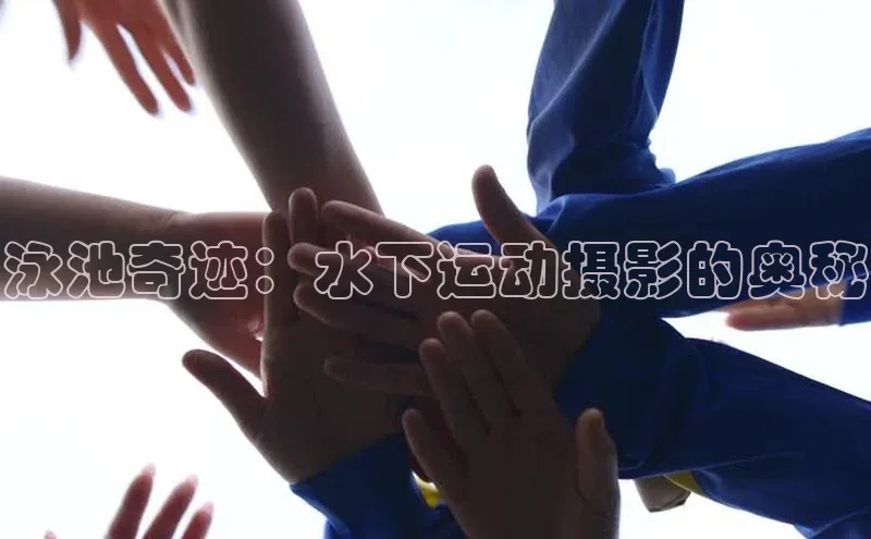 龙8官网游戏